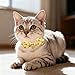EXPAWLORER Bunny Ear Cat Collar with Bell, Soft Breakaway Kitten Collar with Bow and Accessory, Pink Girl Cat Collars with Safety Quick Release Clasp, Pet Collar for Valentine's Day (Bee)