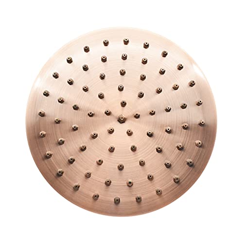 Shower Head High Pressure Rain 8 Antique Red Copper