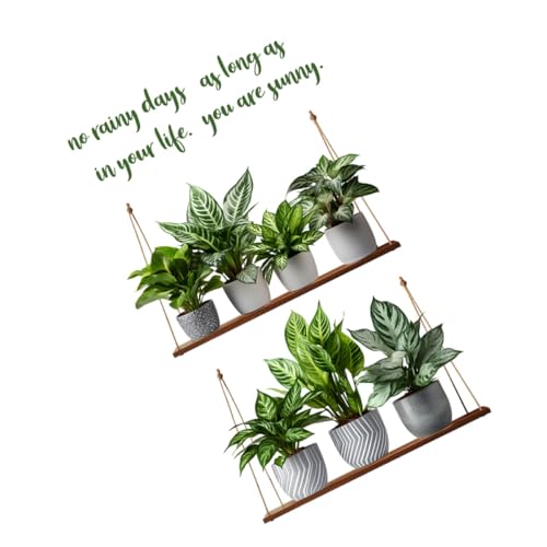 Vinilo Decorativo Pared Planta en Maceta 30x90cm