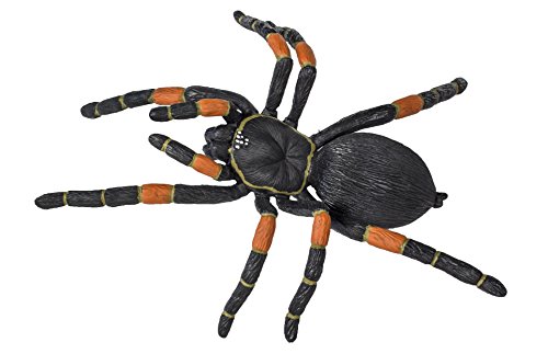 Safari Ltd Hidden Kingdom – Orange-Kneed Tarantula – Realistic Hand Painted Toy Figurine For Ages 3 And Up – Large #TOP6