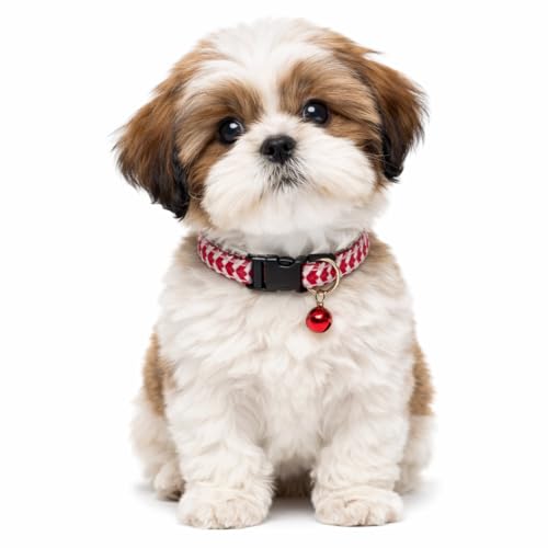 Image of Emily Pets Cat Collar with Bells - Breakaway for Cats, Boy & Girl Cat Collars Kitten Collar with Bell - Break Away Collar for Cats - Breakaway Cat Collar (Color May Vary, 1 Piece)