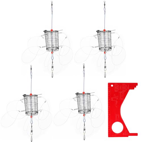 Teyva Daily 4 Pack 8-Loop Crab Trap with Crab Gauge Stainless Steel Cylindrical Snare Traps for Fishing Pole Catches Dungeness