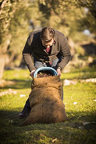 Jordan Olivenöl - BIO natives Olivenöl extra - Kanister 5,0 Liter - GR-BIO-01