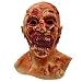 Dinwenddey Scary Zombie Head Masks with Sharp Teeth, Creepy Face Masks for Halloween Decor Party Props