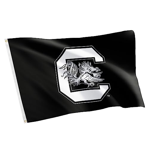 Desert Cactus University of South Carolina USC Flag 3x5 Outdoor (Z)