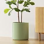 LE TAUCI 12 Poitrine de pouce pour plantes, Planteurs en céramique pour plantes intérieures, Pots de fleurs de cylindres modernes à mi-century avec trou de drainage, Convient Figuier & Monstera, Décor à domicile, Vert Sage