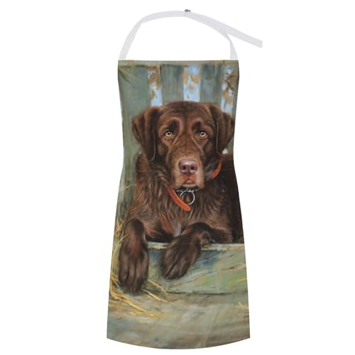 [BWMSVAXN] Gv ۈm Č 킢  C  JtF | ߉\ ₷ h ɂ |Pbgt 傫TCY fB[XGv lC  Vv dp ƒp p