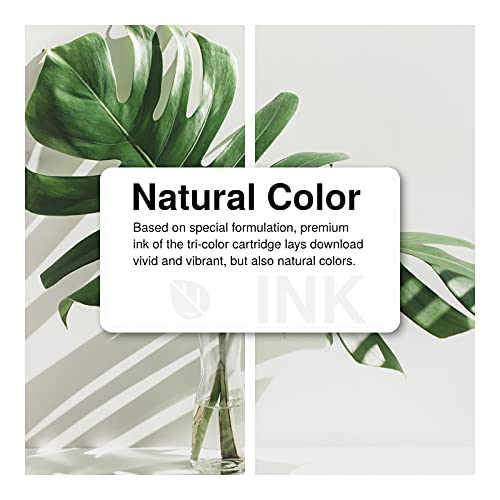 Economink Rigenerato per 304 XL Cartucce