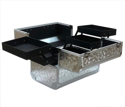 Image of Adson Professional Makeup Box Cosmetics Case Jewelry Organiser Vanity Make Up Storage Box Beauty Train Case Lockable with Keys (Cloudy Smoke Silver)