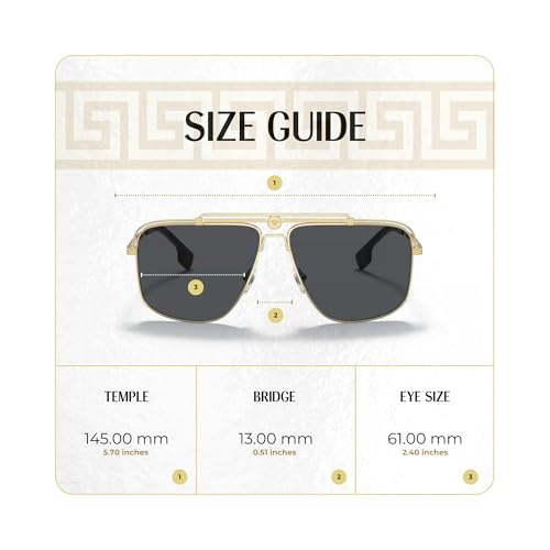 Versace VE2242 Rectangular Sunglasses for Men +BUNDLE with ACCESSORY EYEWEAR KIT4