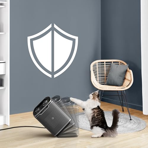 Rowenta Intense Comfort + Heizlüfter, 2 Leistungsstufen, Keramiktechnologie, kompakte Abmessungen, Thermostat, besonders leise, Tragegriff, Schwarz, SO9330F0 [Energieklasse A+++]