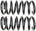 Moog 81200 Coil Spring Set