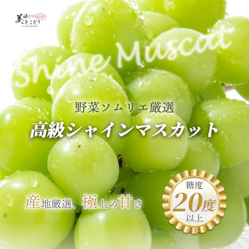 美味いとこどり 大粒 巨大 シャインマスカット の商品画像 1