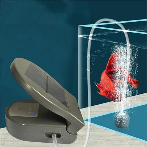 Aérateur de bassin à énergie solaire rechargeable USB pour aquarium extérieur