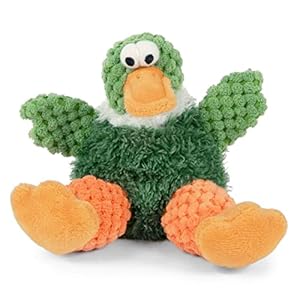 Green Plush Dog Toy