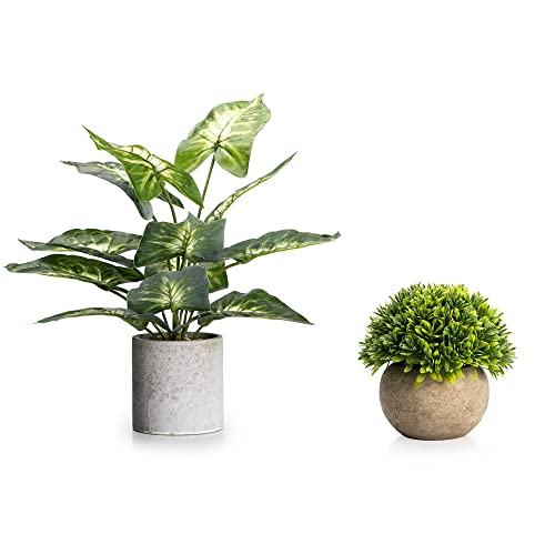 Velener Artificial 16" Green Taro Leaf Plant + Mini Melaleuca Grass In Pot Bundle #TOP9