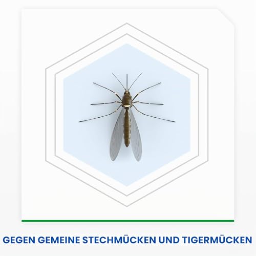 Raid Night & Day Nachfüllpackung, elektrischer Mückenschutz, geruchlos, sandfrei, Packung mit 3 Nachfüllpackungen – Ansicht 3