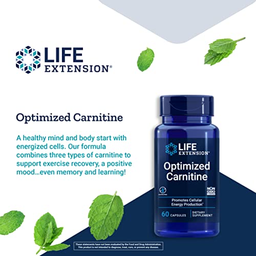 Life Extension Optimized Carnitine – L-Carnitine Supplement - Supports Heart, Brain Health& Exercise Recovery – Gluten-Free – Non-Gmo – 60 Capsules #TOP3