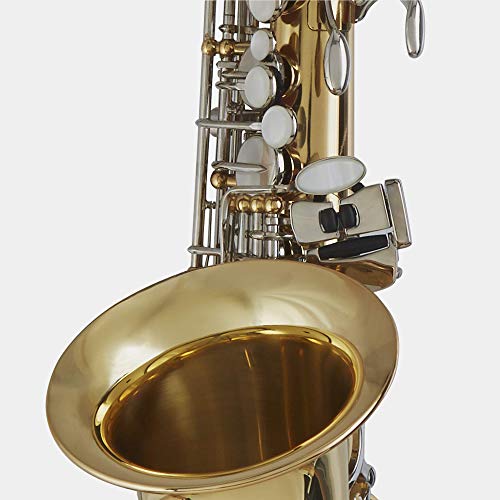 Blessing Standard Series Eb Alto Saxophone Bas-1287, Clear Lacquer Finish #TOP4