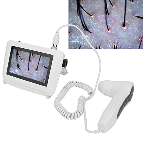 Analyseur de Cheveux de Diagnostic de Peau, éboulis LCD de 5 Pouces, Détecteur de Peau Numérique, Testeur D'humidité, Analyseur de Peau de Cheveux, Type de Charge(EU)