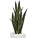 Nearly Natural 4’ Sansevieria Artificial White Tower Planter Silk Plants Green
