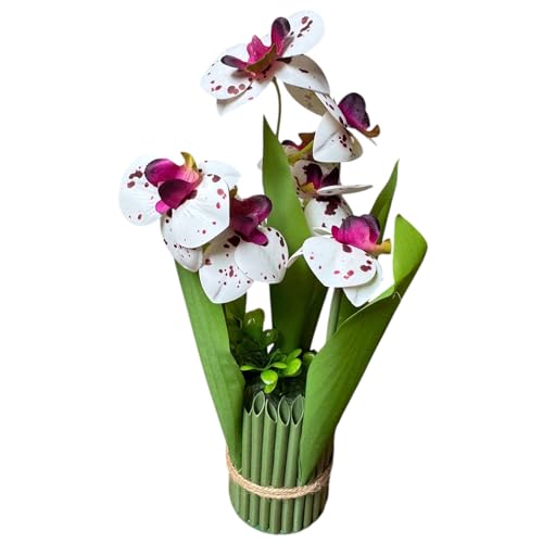 Image of Garden Art Pack of 1 Artificial Phalaenopsis Orchid Bonsai Bunch, 6 Heads, 9 Flowers, 31cm GAAPHOB-6H-31WD (White Dotted)