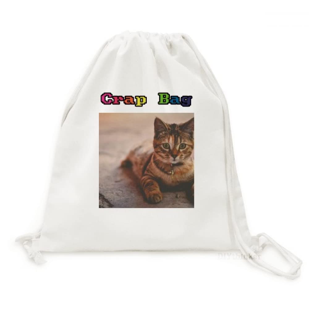 Sac à dos chat léger résistant pour soulager vos épaules