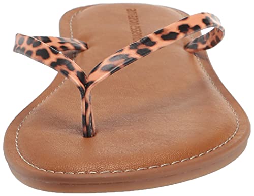 Image of Amazon Essentials Women's Thong Sandal