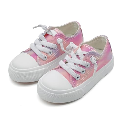 xinran&shengli Toddler Kid Canvas Shoes Boys and Girls Lace Up Low Top Sneakers Little Big Kids Slip On Tennis