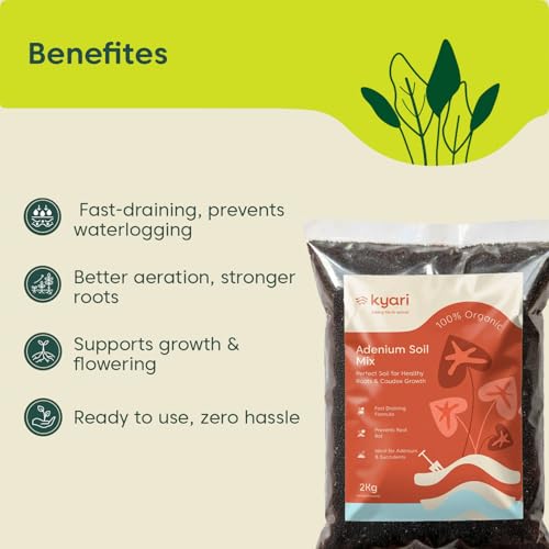 Image of KYARI Adenium Soil Mix 2 kg | Well-Draining Potting Mix for Desert Rose, Cactus & Succulents | Ready to Use | No Amendments Needed