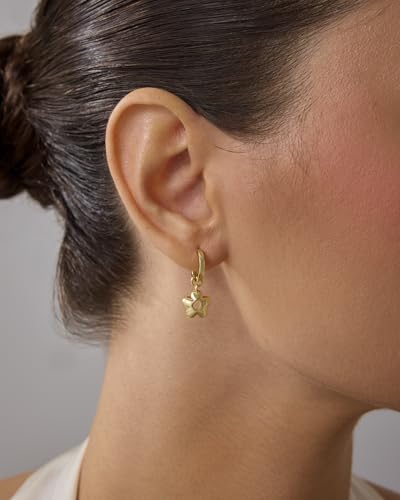 PAVOI 14K Gold Plated Sterling Silver Posts Charm Huggie Earrings for Women | Lightweight Love Heart Moon Flower Star Drop Dangle Huggie Charm Earring2