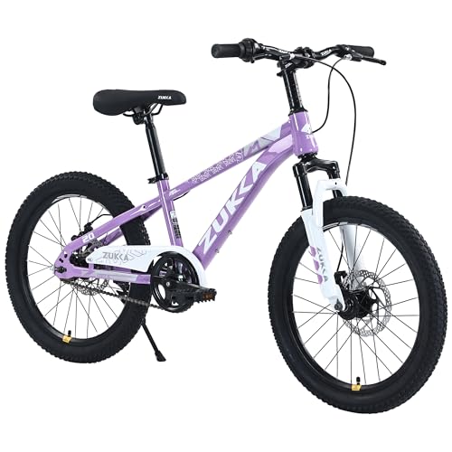 MEGHNA Kids Mountain Bike 20inch / 24inch Wheels MTB with Suspension Front Fork Dual Disc Brakes Single Speed Mountain Bike for 7-12 Year Old Kids Boys Girls Youth (Purple, 20