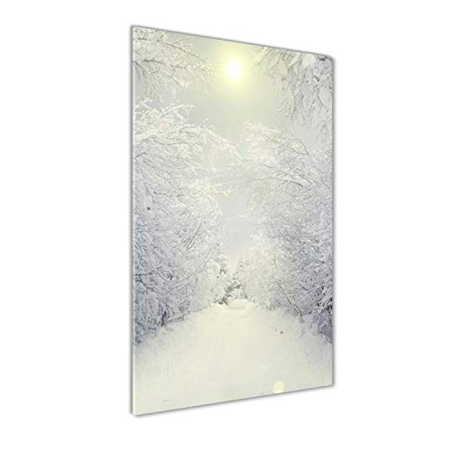 Déco mural derrière le plastique Tulup 50x100 | Image sur verre acrylique paysage blanc - 2
