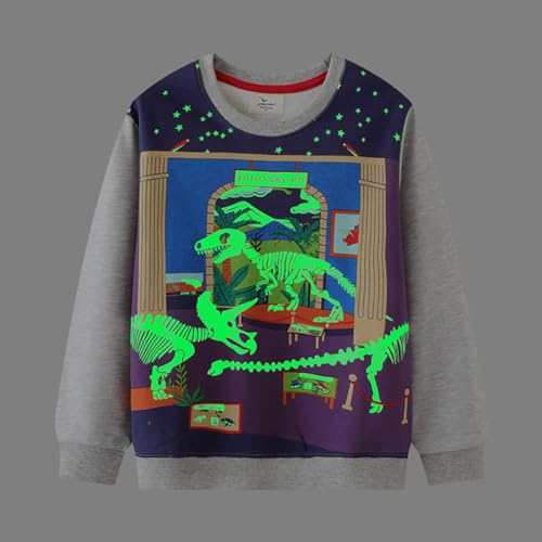 Boys Sweatshirts Casual Sweatshirts Cotton Sweatshirts Long Sleeve T-shirts Crew Neck Cartoon Tops for Boys-6033