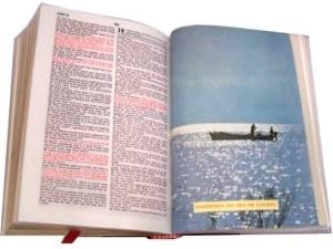 Jerusalem Bible, Olive Wood Cover (English)