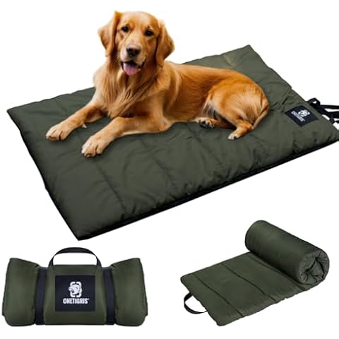 Couverture pour Chien OneTigris Cover