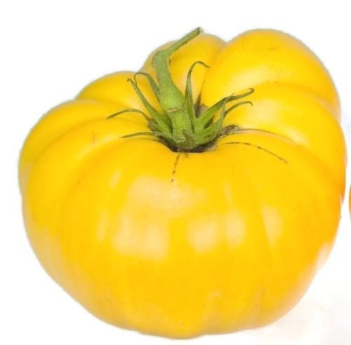 Graines de tomate, jaune Brandywine, tomates jaunes, tomates Heirloom non Ogm 50ct