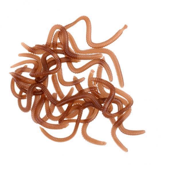4x20Pcs/Box Smell Soft Worm Lures Clam Worms Maggots Artificial Baits 9cm-image-15