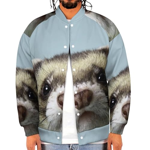 How cold can ferrets tolerate