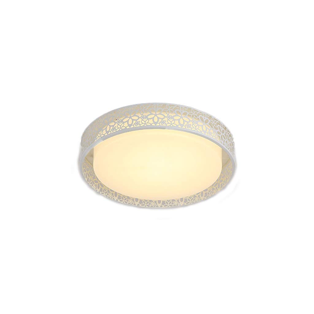 HynJGih Led Ceiling Lamp Round Bedroom Lamp Simple Modern Living Room Lighting Home Creative Balcony Restaurant Lighting(B,Stepless dimming)