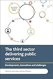 The Third Sector Delivering Public Services: Developments, Innovations and Challenges (Third Sector Research)