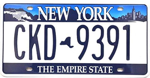 Lot De 10 PLAQUES D' IMMATRICULATION De Voiture USA En Mét 63,45