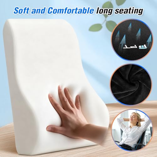 POOTACK Lumbar Support Cushion, Memory Foam Back Support Cushion Lumbar Support for Office Chair, Car Seat, Recliner, with Extension Strap and Mesh Cover