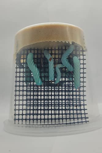 Live Hornworm Cup (25-35 Count) | UPS Shipping | for Bearded Dragons and Reptiles | Live Arrival Guarantee - Image 6