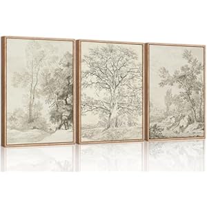 Vintage Sketchbook Forest Framed Canvas Wall Art Set, Neutral Minimalist Tree Wall Decor, Wilderness Illustration Wall Painting, Retro Botanical Art Print Living Room, Office 16″x24″x3