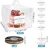 Amazon.com: SHUESS 30Pcs Clear Cake Box 6 Inch，6x6x5Inch Transparent ...