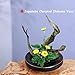 Japanese Classical Ikebana Vase Kit, Minimalist Ceramics Flower Pot Flower Shallow Container with 2.4inch Flower Frog and 2-in-1 Flower Arrangement Kenzan Needle Straightening Tool