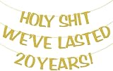 Holy We've Lasted 20 Years Banner, 20th Wedding Anniversary Party Decorations, Funny Decor for Him Her Husband Wife Parents, Pre-Strung, Gold Glitter