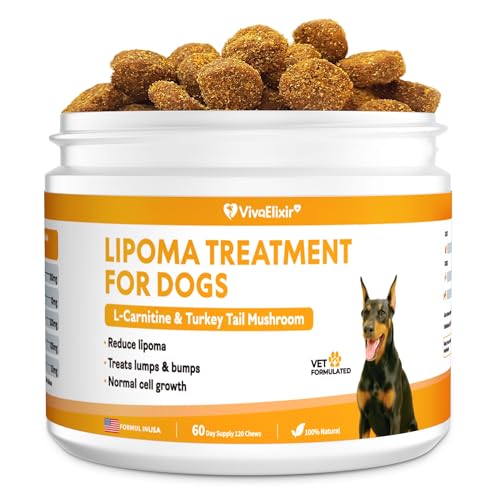 L-Carnitine with Mushroom Blend