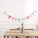 DAHI 4 Strings Pennant Banner Flags Pastel Multicolor Bunting Triangle Banner Pastel Pennants for Birthdays School Carnival Garland Outdoor Events Party Hanging Decorations